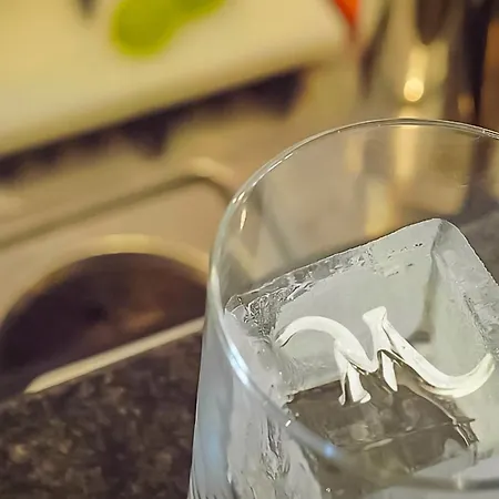 维迪米拉马雷和德尔菲诺酒店